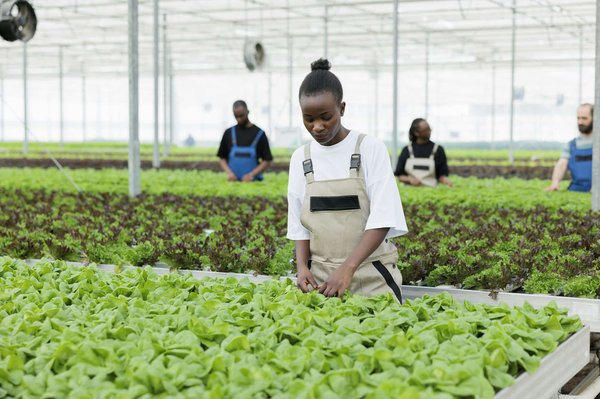 Quelles méthodes pratiques pour apprendre le morse à des scouts lors d'un camp d'été?